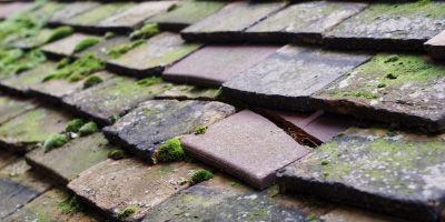 Mayland roof repair costs